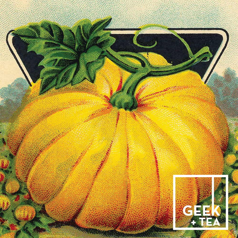 Pumpkin Juice Chai | Loose Leaf Black Tea | Cardamom and Cinnamon