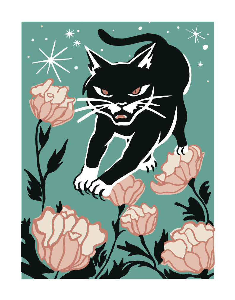 Angry Cat Chronicles